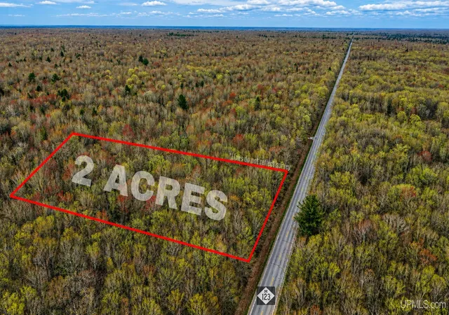 Homes for sale in Newberry, MI | Tbd M 123 Hwy, Newberry, MI 49868 | MLS# 50210373