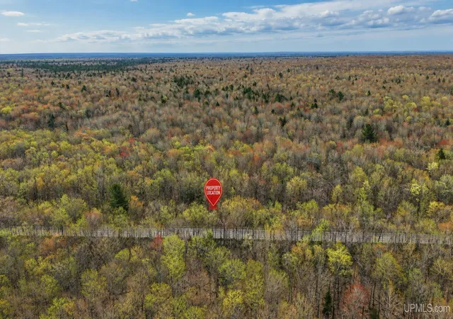 Homes for sale in Newberry, MI | Tbd M-123 Hwy, Newberry, MI 49868 | MLS# 50210373