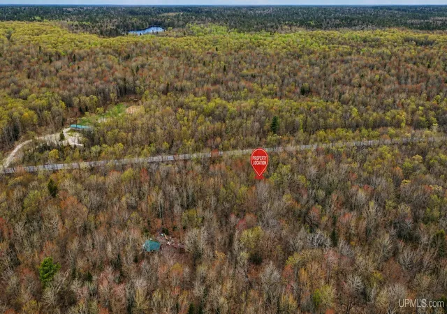 Homes for sale in Newberry, MI | Tbd M-123 Hwy, Newberry, MI 49868 | MLS# 50210373