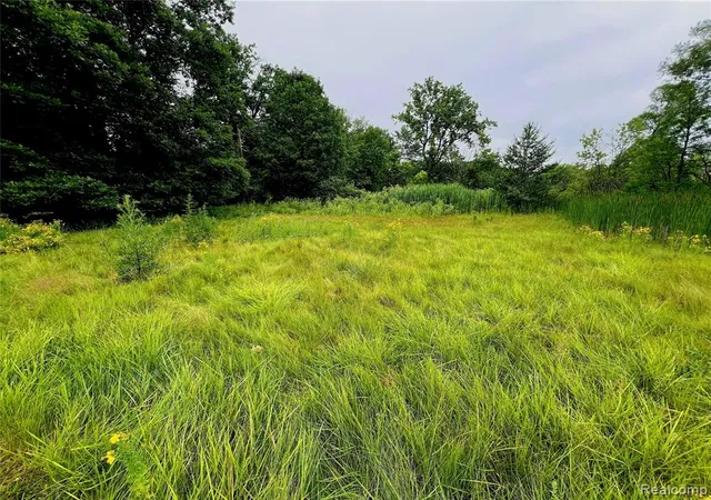 Photo 3 of Land for sale at Lot 94 Hiller Rd, West Bloomfield, MI 48324 | MLS# 60989783 | Listing updated on 2026-08-01