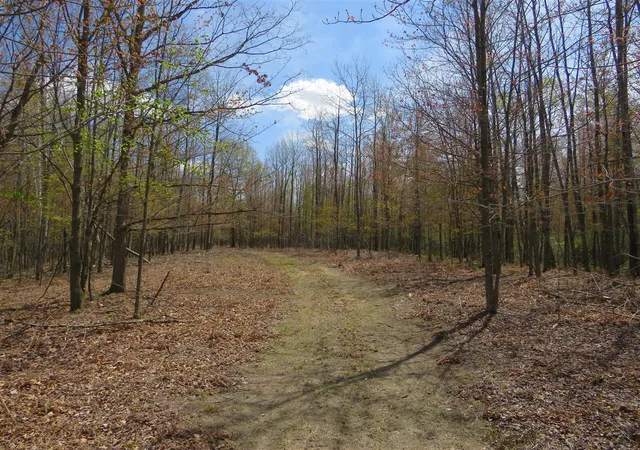 Photo 1 of Land for sale at N Chippewa Rd, Mount Pleasant, MI 48858 | MLS# 70531710 | Listing updated on 2026-09-01