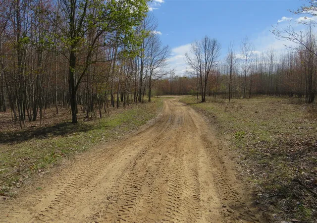 Photo 2 of Land for sale at N Chippewa Rd, Mount Pleasant, MI 48858 | MLS# 70531710 | Listing updated on 2026-09-01