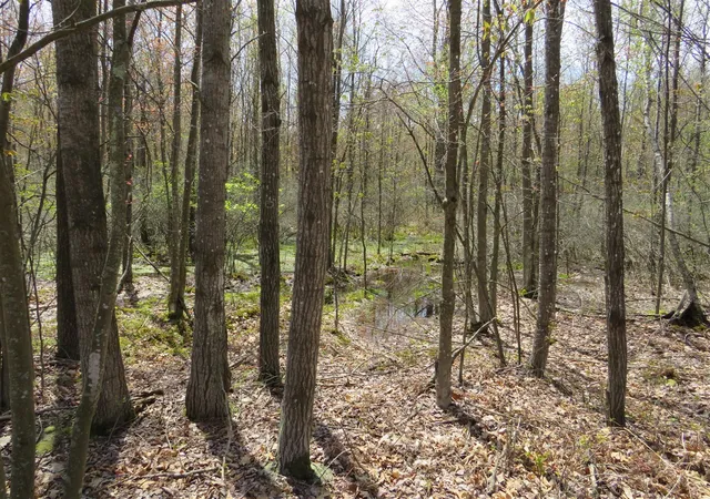 Photo 3 of Land for sale at N Chippewa Rd, Mount Pleasant, MI 48858 | MLS# 70531710 | Listing updated on 2026-09-01
