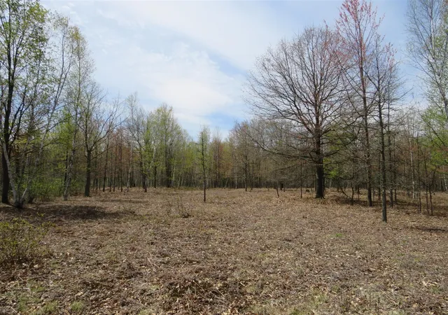 Photo 3 of Land for sale at N Chippewa Rd, Mount Pleasant, MI 48858 | MLS# 70531710 | Listing updated on 2026-09-01