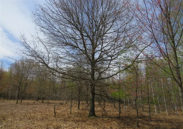 Photo 4 of Land for sale at N Chippewa Rd, Mount Pleasant, MI 48858 | MLS# 70531710 | Listing updated on 2026-09-01