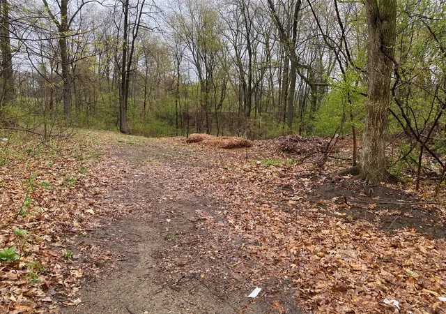 Photo 3 of Land for sale at 4546 W Dickman Rd, Springfield, MI 49037 | MLS# 70501030 | Listing updated on 2025-10-22