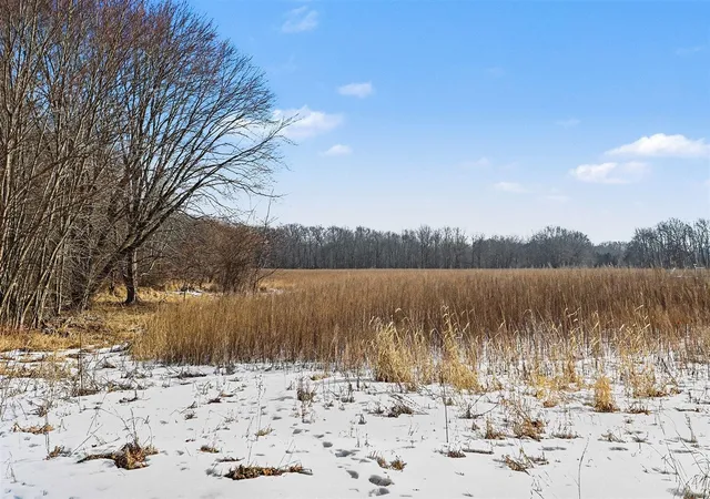 Homes for sale in Albion, MI | V/l 26 1/2 Mile Rd, Albion, MI 49224 | MLS# 70515537