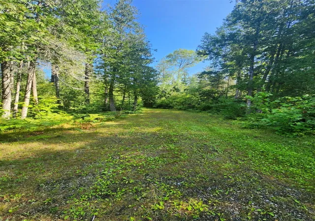 17th image of 12456 E Gogomain Rd, Pickford, MI 49774 | MLS# 70553847
