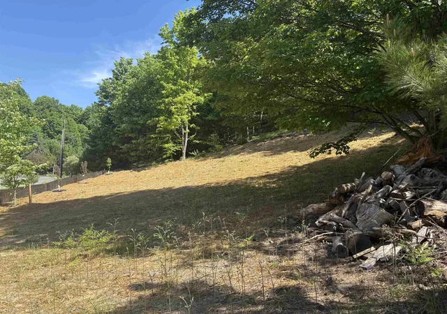 Photo 2 of Land for sale at Unit 6 E Hoxie Rd, Cedar, MI 49621 | MLS# 80072770 | Listing updated on 2026-08-27