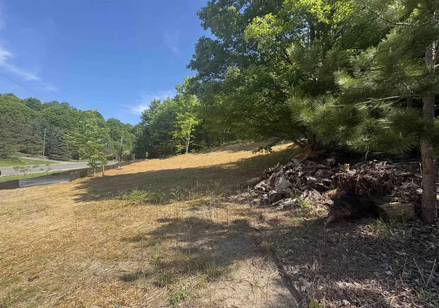 Photo 4 of Land for sale at Unit 6 E Hoxie Rd, Cedar, MI 49621 | MLS# 80072770 | Listing updated on 2026-08-27