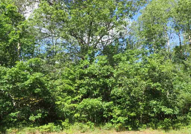 4th image of 2143 E Log Lake Rd, Kalkaska, MI 49646 | MLS# 80072484