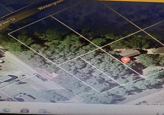 Homes for sale in East Tawas, MI | 00 Wintergreen St, East Tawas, MI 48730 | MLS# 80065731