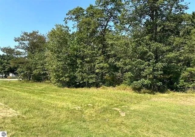 Homes for sale in East Tawas, MI | 00 Wintergreen St, East Tawas, MI 48730 | MLS# 80065731