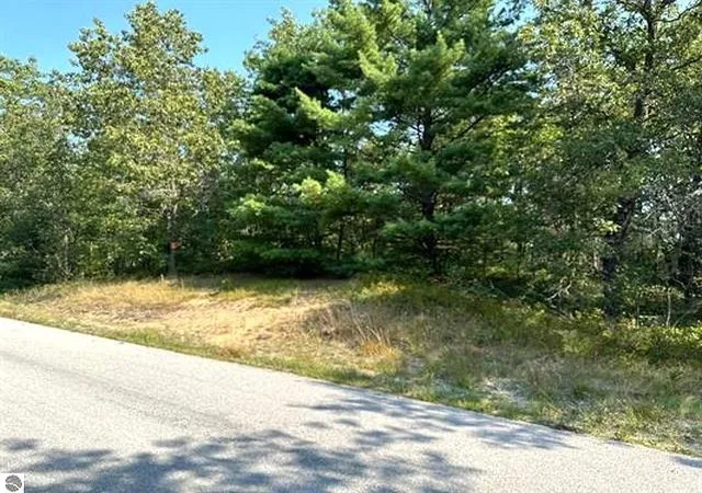 Homes for sale in East Tawas, MI | 00 Wintergreen St, East Tawas, MI 48730 | MLS# 80065731