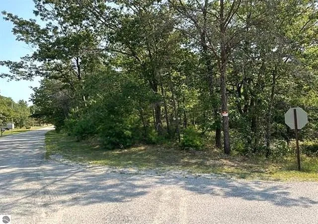 Homes for sale in East Tawas, MI | 00 Wintergreen St, East Tawas, MI 48730 | MLS# 80065731