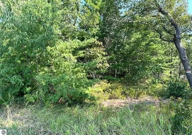 Homes for sale in East Tawas, MI | 00 Wintergreen St, East Tawas, MI 48730 | MLS# 80065731