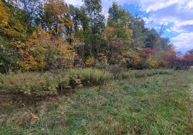 Photo 3 of Land for sale at 74016 Ridgeway Dr, Lawton, MI 49065 | MLS# 70502042 | Listing updated on 2026-06-30
