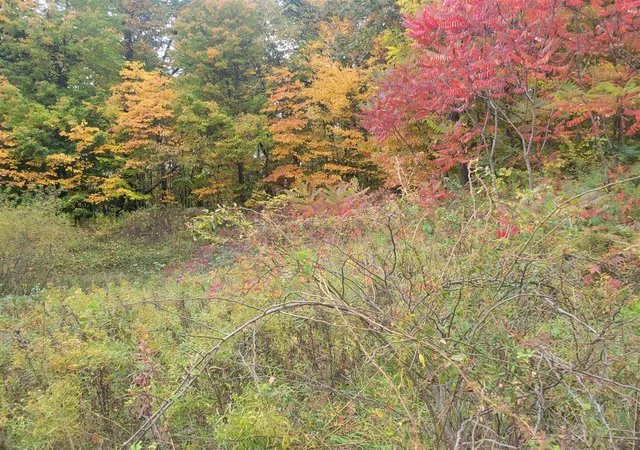 Photo 3 of Land for sale at 74016 Ridgeway Dr, Lawton, MI 49065 | MLS# 70502042 | Listing updated on 2026-06-30