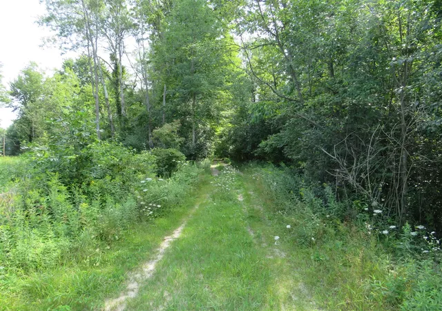 Photo 2 of Land for sale at Vl Meridian (m 30) Rd, Sanford, MI 48657 | MLS# 70551429 | Listing updated on 2026-08-10