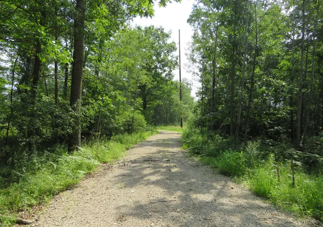 Photo 4 of Land for sale at Vl Meridian (m 30) Rd, Sanford, MI 48657 | MLS# 70551429 | Listing updated on 2026-08-10