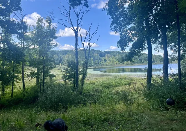 Land for sale at 59856 Pemberton Rd, Vandalia, MI 49095 | MLS# 70439054 | Listing updated on 2025-04-08