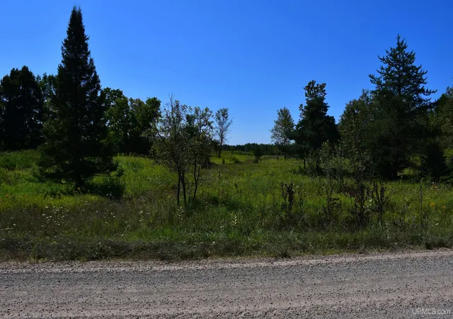 Photo 1 of Sale Pending at Tbd 20 Ac  26th (cr 434) Rd, Brampton, MI 49837 | MLS# 50220098 | Listing updated on 2026-09-28