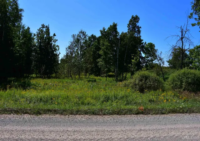 Photo 2 of Sale Pending at Tbd 20 Ac  26th (cr 434) Rd, Brampton, MI 49837 | MLS# 50220098 | Listing updated on 2026-09-28