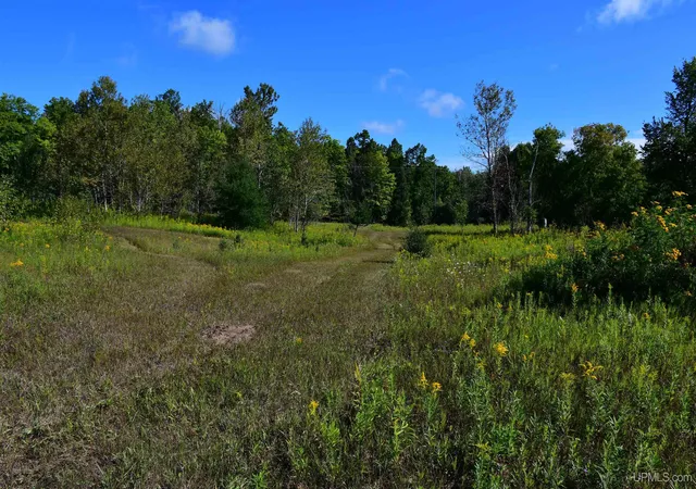 Photo 4 of Sale Pending at Tbd 20 Ac- 26Th (Cr 434) Rd, Brampton, MI 49837 | MLS# 50220098 | Listing updated on 2026-09-28