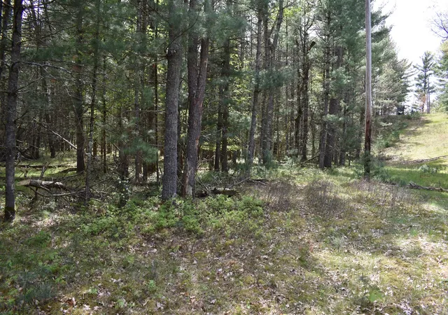 18th image of 00 S Ever Blooming Dr, Baldwin, MI 49304 | MLS# 70469588
