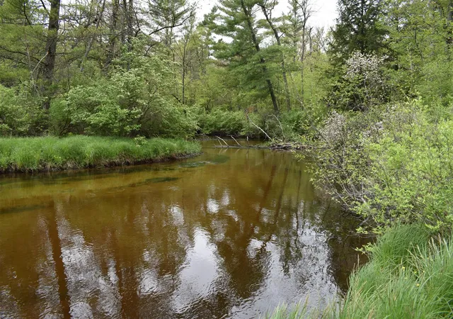 1st image of 00 S Ever Blooming Dr, Baldwin, MI 49304 | MLS# 70469588