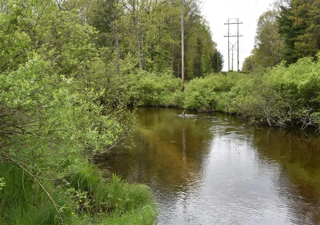 2nd image of 00 S Ever Blooming Dr, Baldwin, MI 49304 | MLS# 70469588