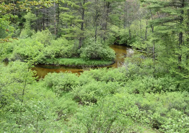 3rd image of 00 S Ever Blooming Dr, Baldwin, MI 49304 | MLS# 70469588