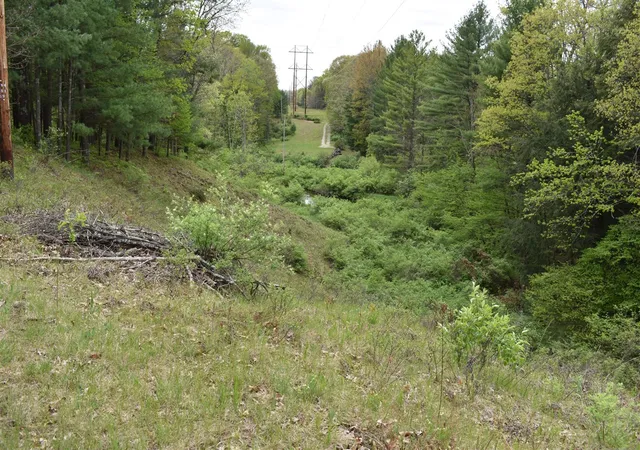 5th image of 00 S Ever Blooming Dr, Baldwin, MI 49304 | MLS# 70469588