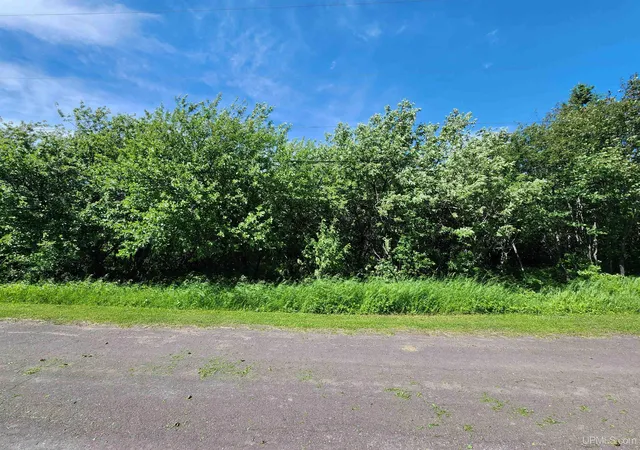 Land for sale at Tbd A No 4 Rd #NO, Calumet, MI 49913 | MLS# 50196297