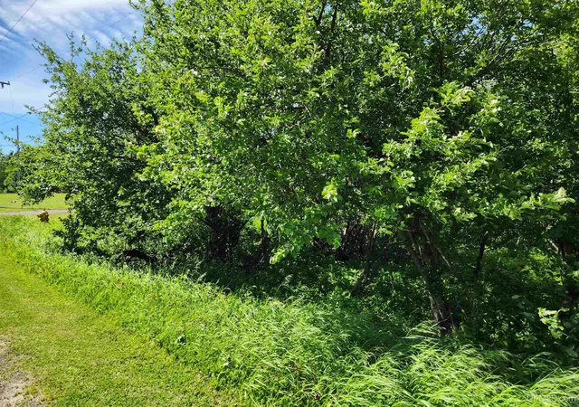Photo 3 of Land for sale at Tbd A No 4 Rd #NO, Calumet, MI 49913 | MLS# 50196297 | Listing updated on 2026-07-16