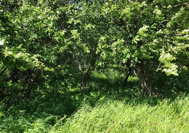 Photo 3 of Land for sale at Tbd A No 4 Rd #NO, Calumet, MI 49913 | MLS# 50196297 | Listing updated on 2026-07-16
