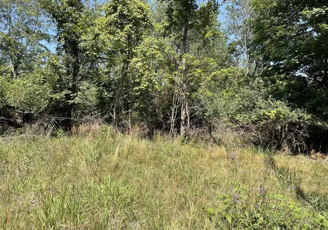 Land for sale at 6893 Wiley Rd, Fennville, MI 49408 | MLS# 70549944