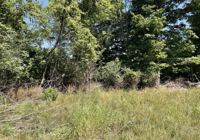 Photo 2 of Land for sale at 6893 Wiley Rd, Fennville, MI 49408 | MLS# 70549944 | Listing updated on 2026-08-04