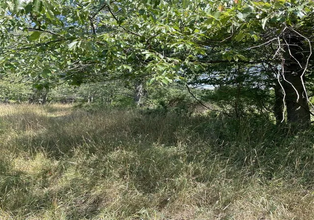Photo 3 of Land for sale at 6893 Wiley Rd, Fennville, MI 49408 | MLS# 70549944 | Listing updated on 2026-08-04