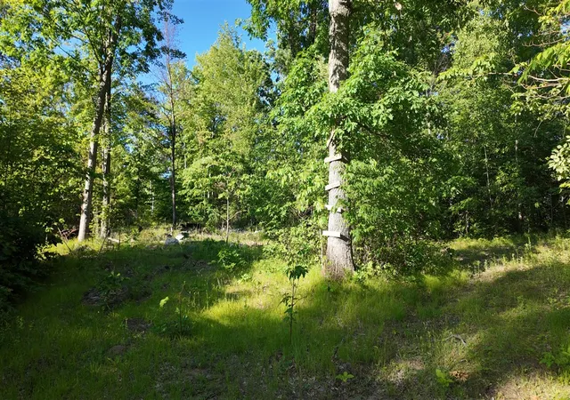 Homes for sale in Pierson, MI | 5170 Rocky Top Parcel C Ln, Pierson, MI 49339 | MLS# 70539803