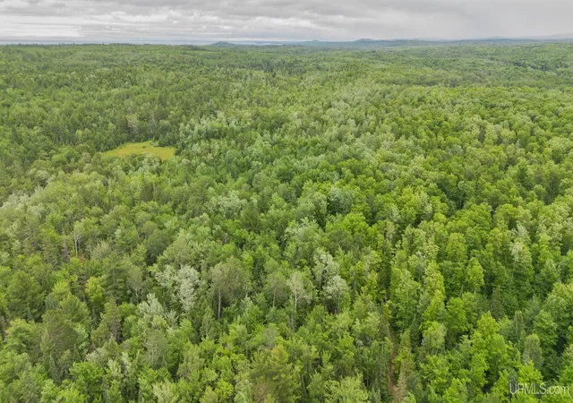 Photo 5 of Single family home for sale at Tbd Brown Deer Rd, Big Bay, MI 49808 | MLS# 50215728 | Listing updated on 2026-08-18