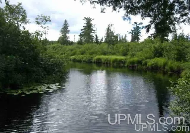 Homes for sale in Amasa, MI | 77 Acres Net River Dam Rd, Amasa, MI 49903 | MLS# 50213571