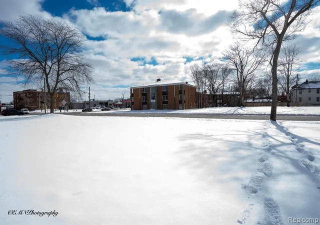 image of 13523 Greiner St, Detroit, MI 48205 | MLS# 60972288