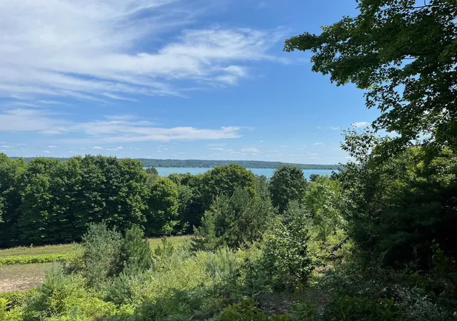Photo 1 of Land for sale at 00 E Hidden Beech Dr, Cedar, MI 49621 | MLS# 80071521 | Listing updated on 2026-08-20