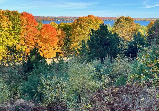 Photo 2 of Land for sale at 00 E Hidden Beech Dr, Cedar, MI 49621 | MLS# 80071521 | Listing updated on 2026-08-20