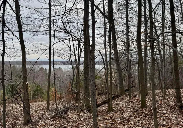 Photo 4 of Land for sale at 00 E Hidden Beech Dr, Cedar, MI 49621 | MLS# 80071521 | Listing updated on 2026-08-20