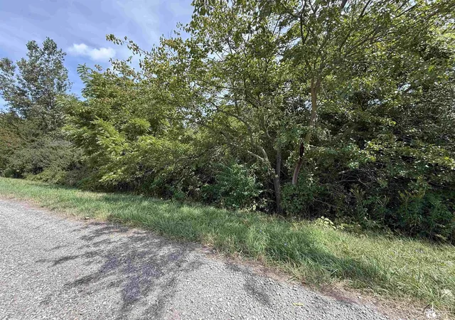 Homes for sale in Erie, MI | 000 S Dixie Hwy, Erie, MI 48133 | MLS# 50197038