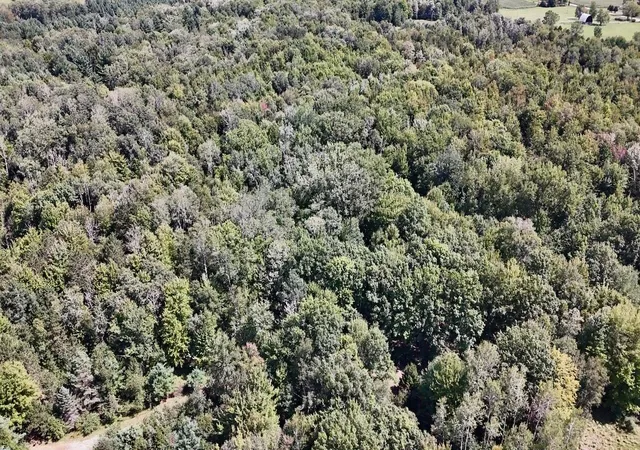 Photo 5 of Sale Pending at 00 Ward Rd, Sterling, MI 48659 | MLS# 70555310 | Listing updated on 2026-08-31