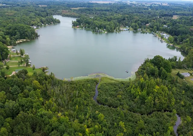 3rd image of 5855 N Miles Rd, Six Lakes, MI 48886 | MLS# 70516242
