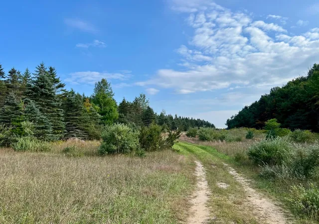 Homes for sale in Ellsworth, MI | 00 Skinner Rd, Ellsworth, MI 49729 | MLS# 80062084